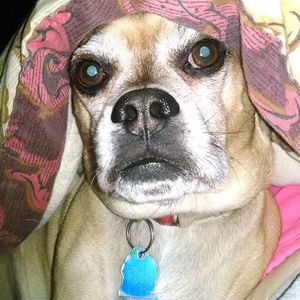 Meet your Posher, Chu